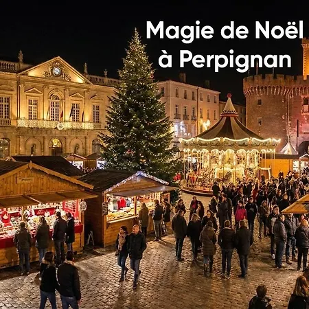 Duplex 39 M2 Centre Wi Fi Debit Перпиньан